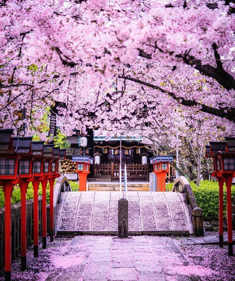 Kyoto-Toji House Aparthotel ภายนอก รูปภาพ