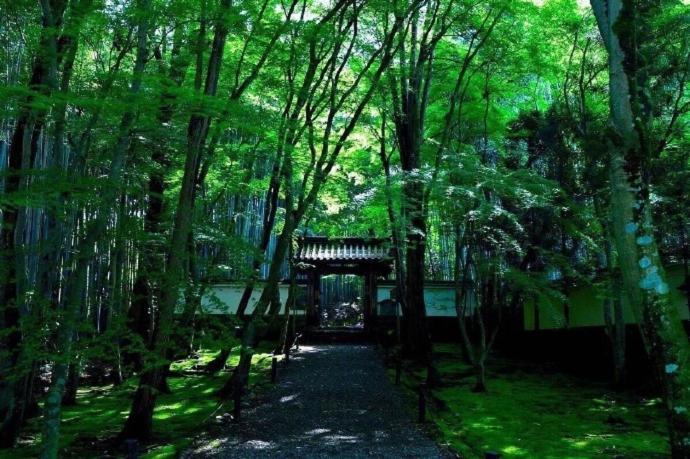 Kyoto-Toji House Aparthotel ภายนอก รูปภาพ
